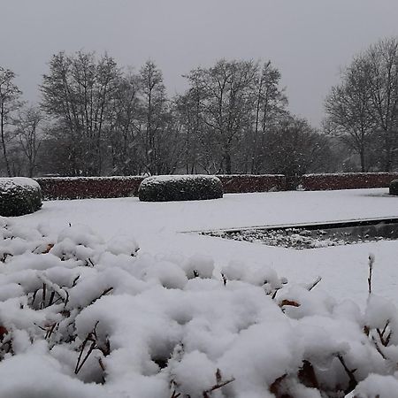 B&B De Levensboom Tessenderlo Exteriér fotografie