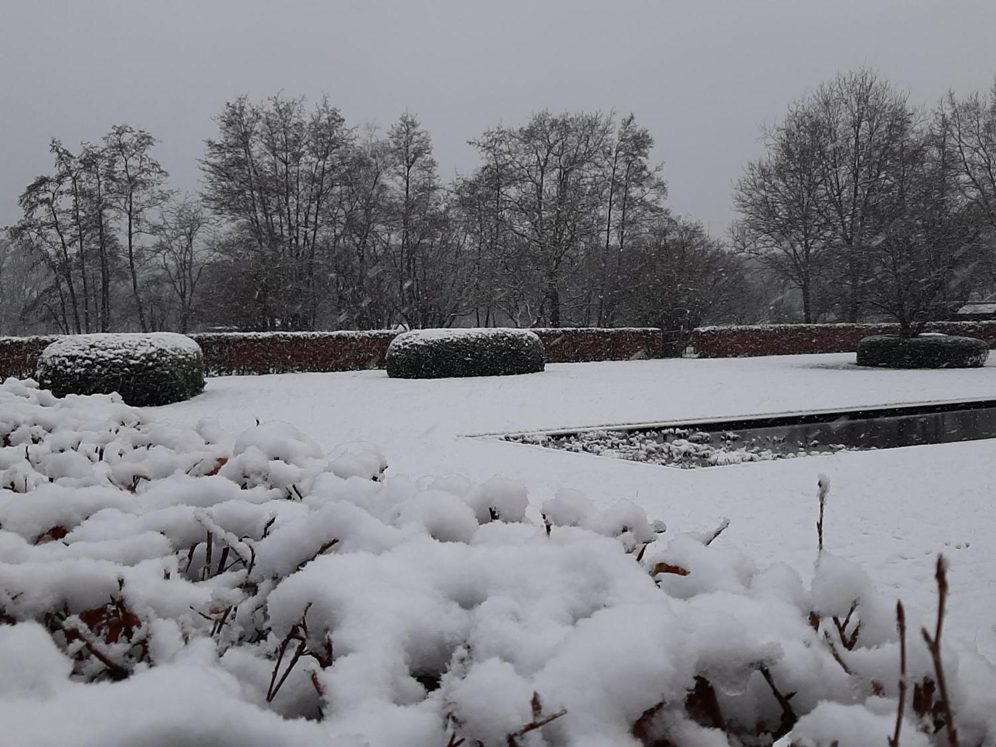 B&B De Levensboom Tessenderlo Exteriér fotografie